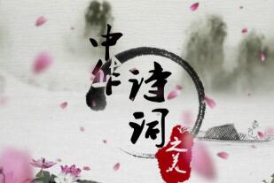 时间的馈赠：在年轮与皱纹中，读懂成长的诗篇